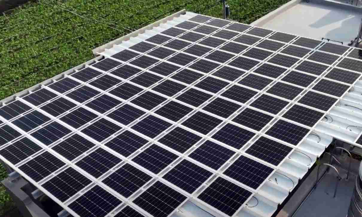 NG大舞台SunSteel光电浪板升级双玻结构，，，以提升机械负载强度及气候耐候度，，，，可广泛运用于多元场域